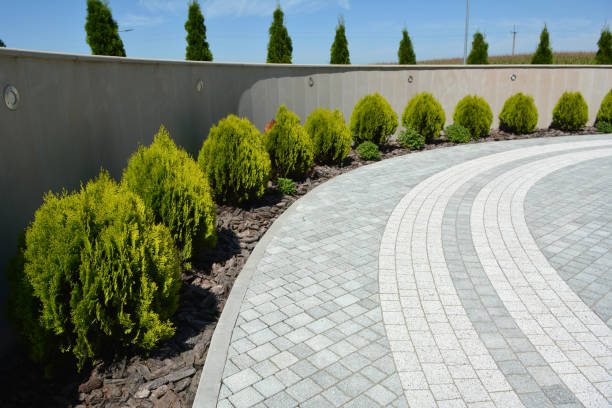 Best Driveway Paving Contractor  in Mount Pulaski, IL